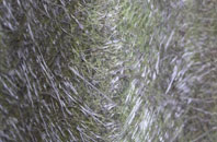 Ipstones fibreglass roof work